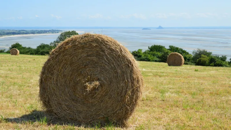 De la terre à la pièce : l'itinéraire secret des matières qui font nos créations